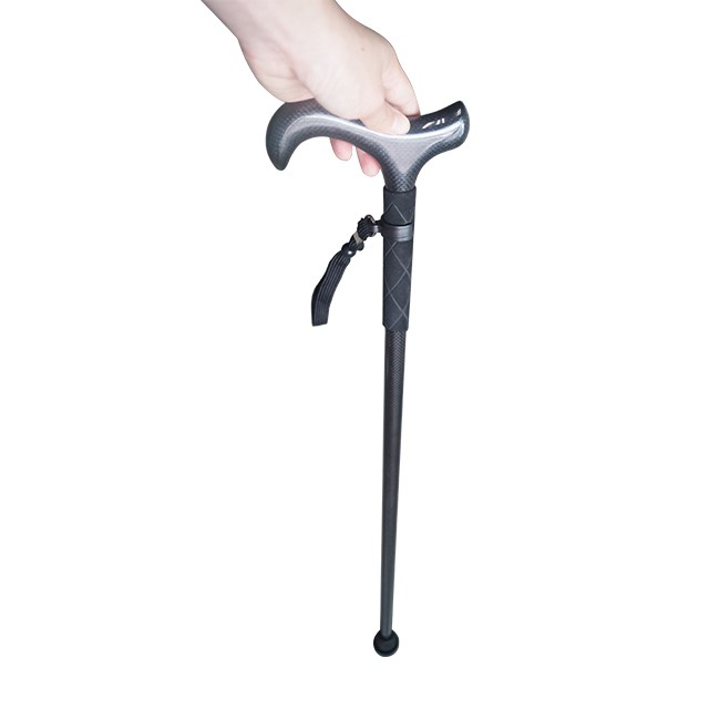 Ultralight Carbon Fiber Hiking - Trekking Pole Carbon recension och pris